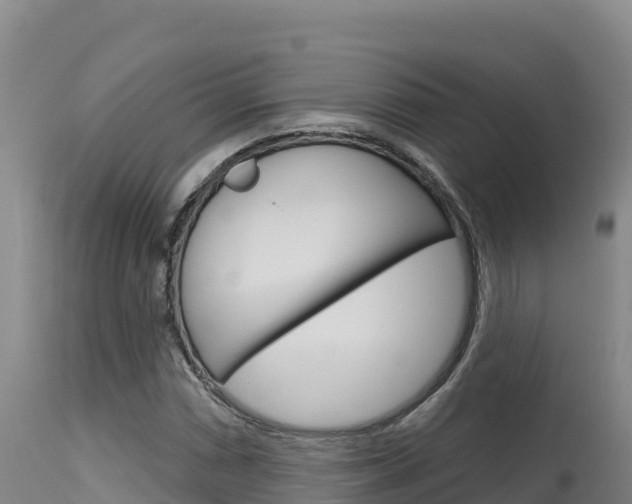 X0000115671066200911121001