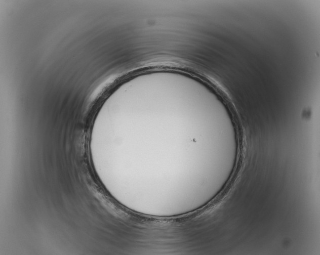 X0000115671067200911121001
