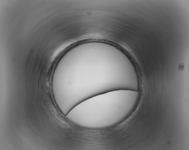 X0000115671070200911121001