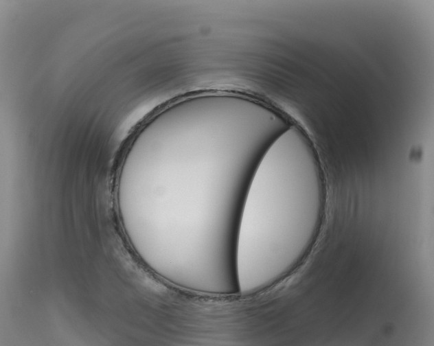 X0000115671071200911121001