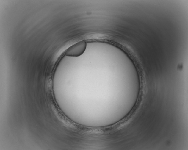 X0000115671073200911121001