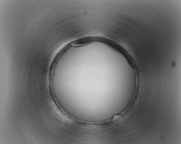 X0000115671076200911121001