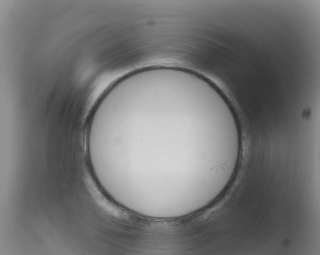 X0000115671078200911121001