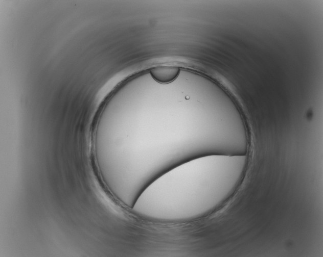 X0000115671082200911121001