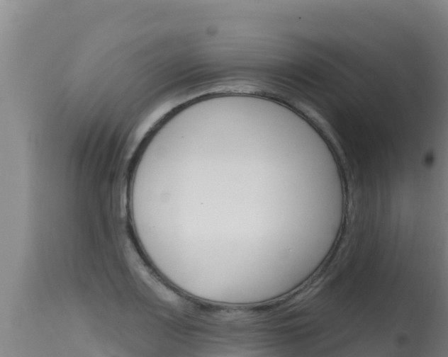 X0000115671083200911121001