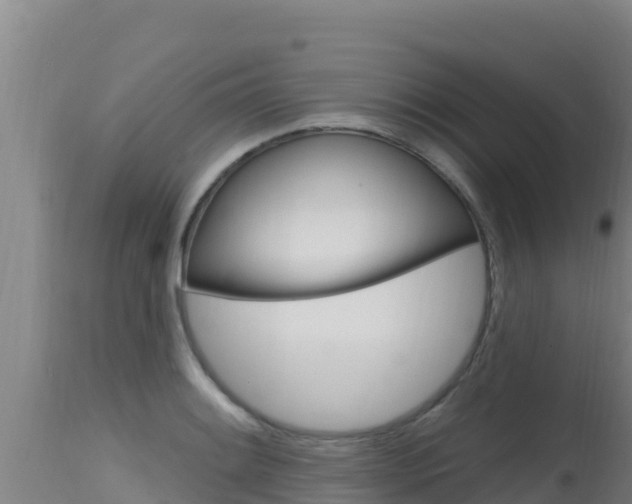 X0000115671084200911121001