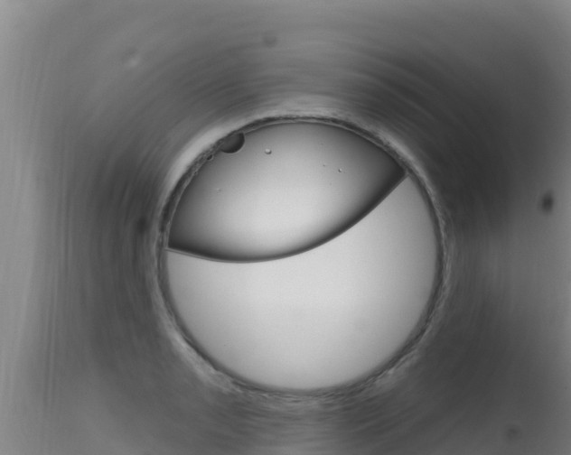 X0000115671085200911121001