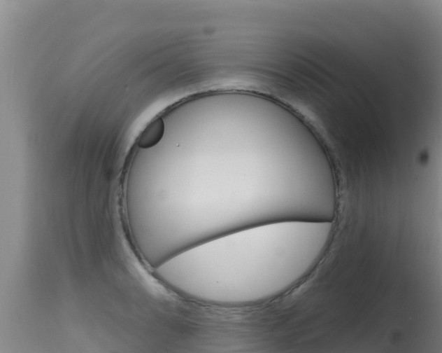 X0000115671086200911121001
