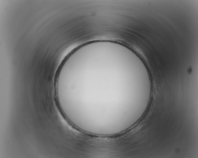 X0000115671087200911121001