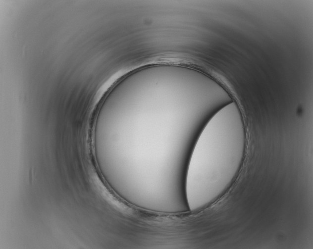 X0000115671091200911121001