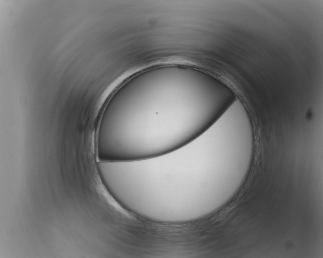 X0000115671092200911121001