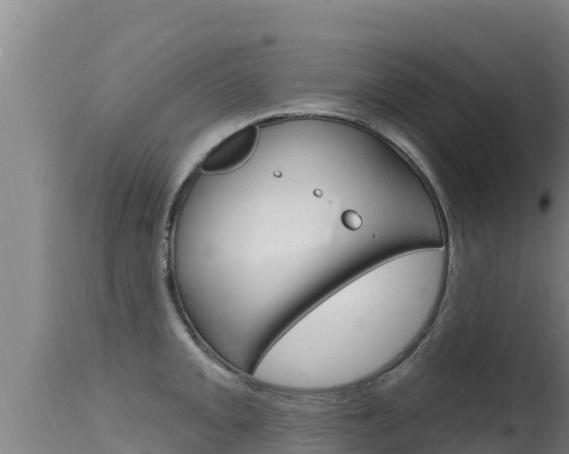 X0000115671093200911121001