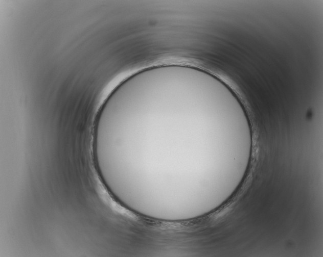 X0000115671094200911121001
