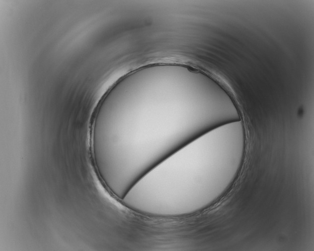 X0000115671095200911121001