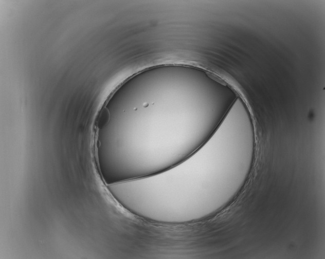 X0000115671096200911121001