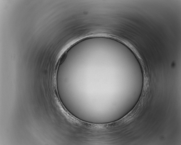 X0000115671101200911121001