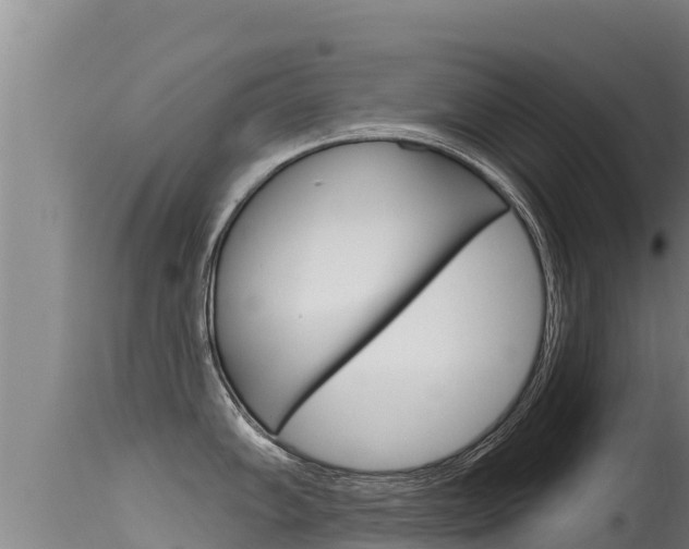 X0000115671102200911121001