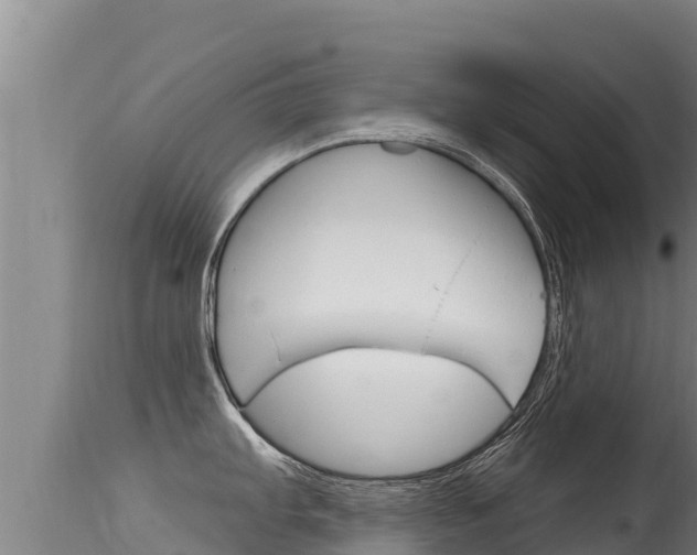 X0000115671103200911121001