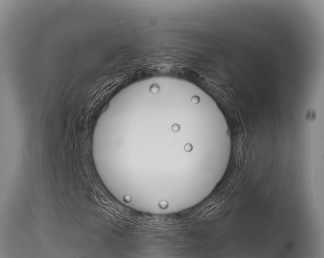 X0000115671105200911121000