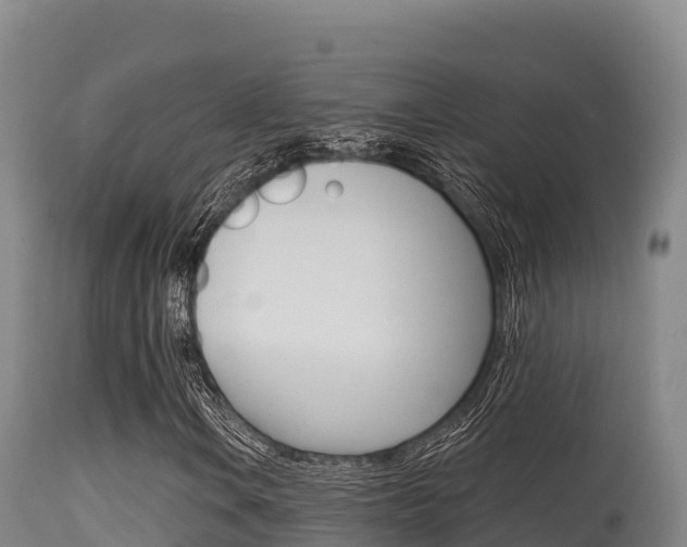X0000115671106200911121000