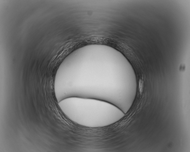 X0000115671107200911121000