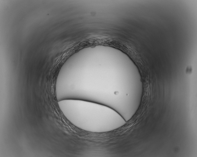 X0000115671109200911121000