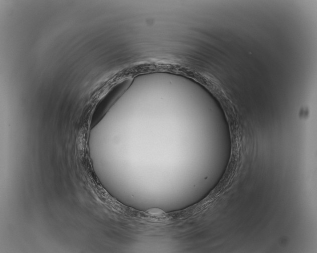 X0000115671110200911121000
