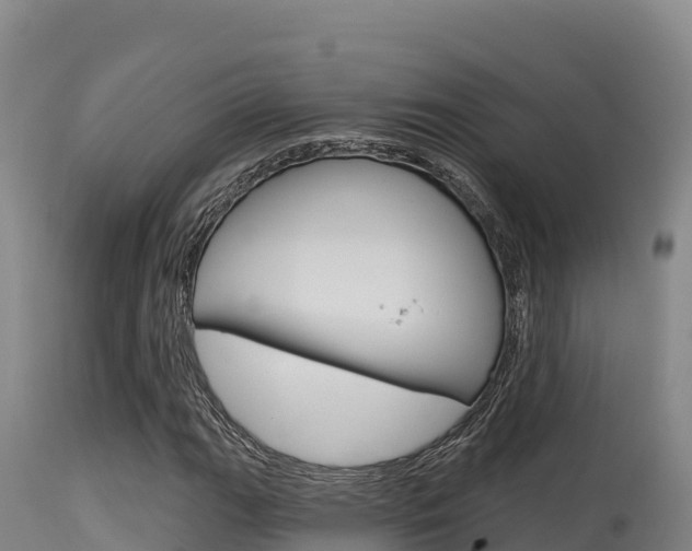 X0000115671111200911121000