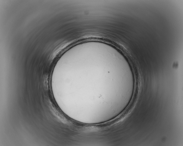 X0000115671113200911121000