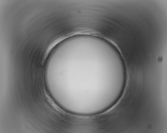 X0000115671114200911121000