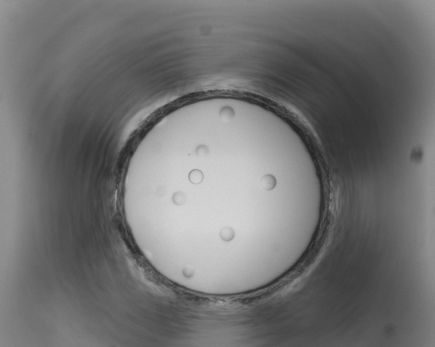 X0000115671117200911121000