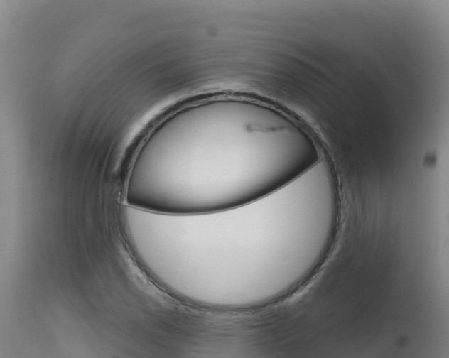 X0000115671118200911121000