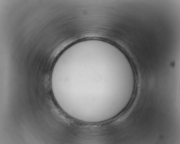 X0000115671121200911121000