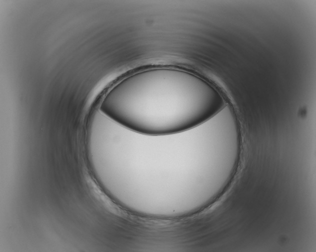 X0000115671122200911121000
