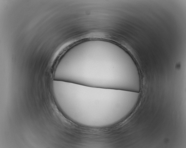 X0000115671123200911121000