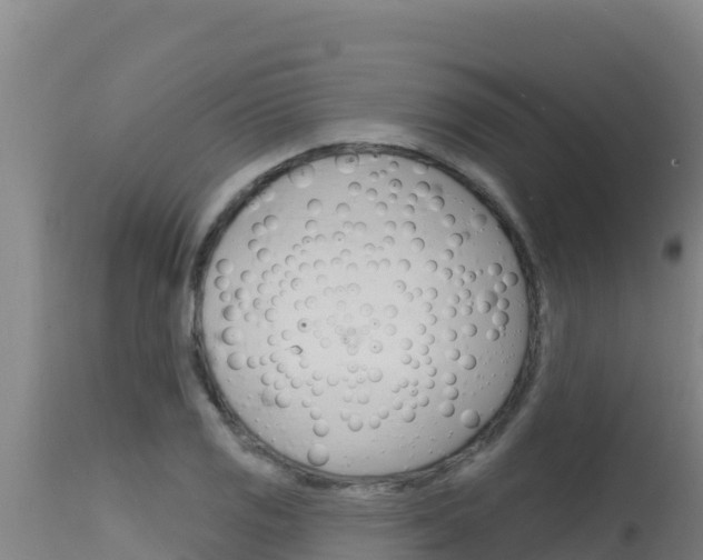 X0000115671125200911121000