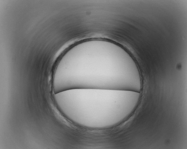 X0000115671126200911121000
