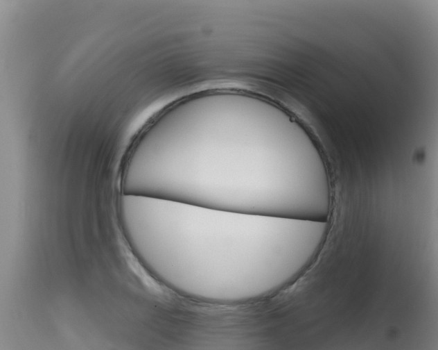 X0000115671127200911121000