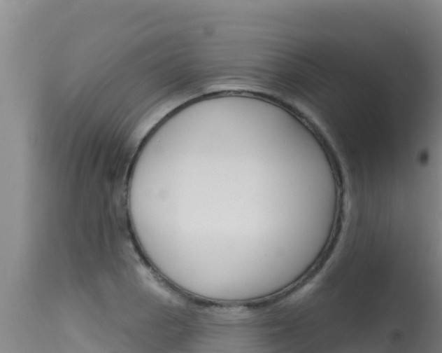 X0000115671129200911121000