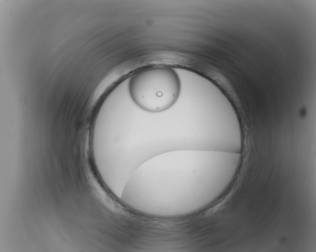 X0000115671130200911121000