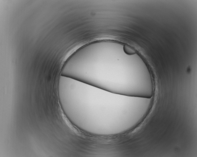 X0000115671137200911121001
