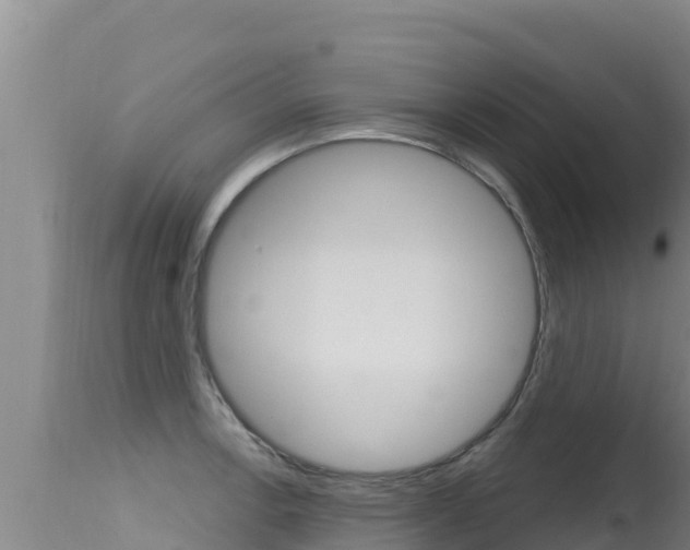 X0000115671138200911121001
