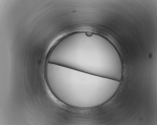 X0000115671139200911121001