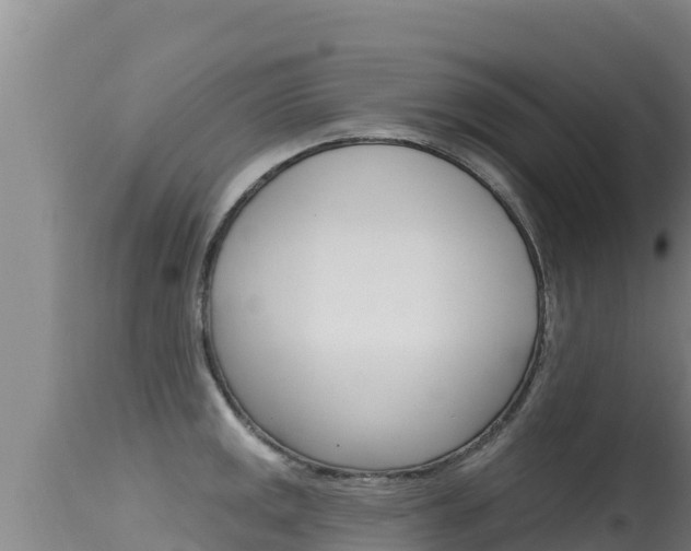 X0000115671141200911121001