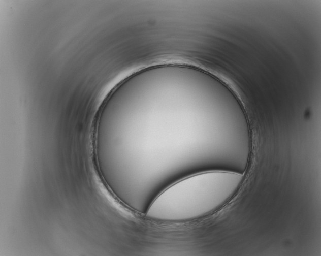 X0000115671142200911121001