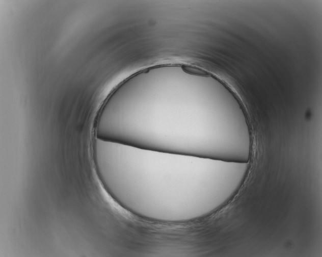 X0000115671143200911121001