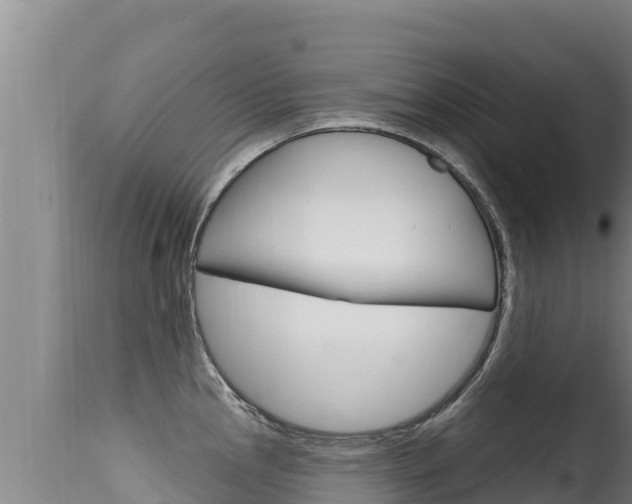 X0000115671145200911121001