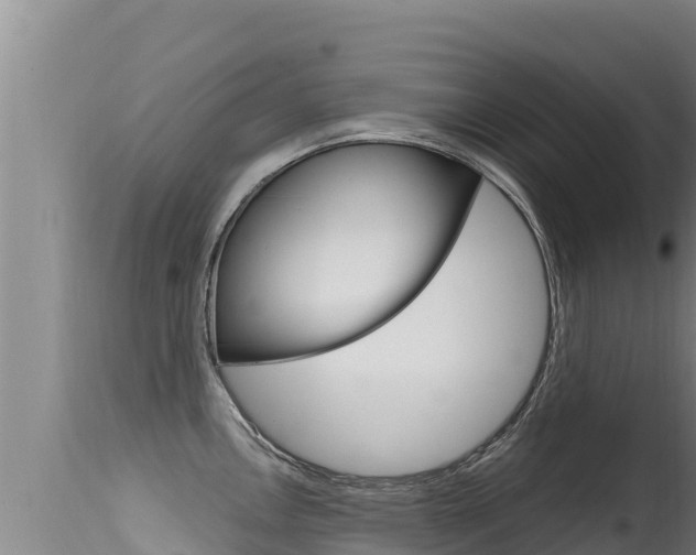 X0000115671146200911121001