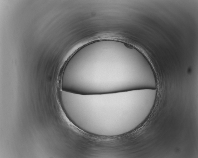 X0000115671147200911121001