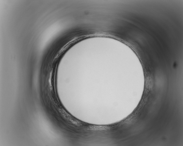 X0000115671150200911121001